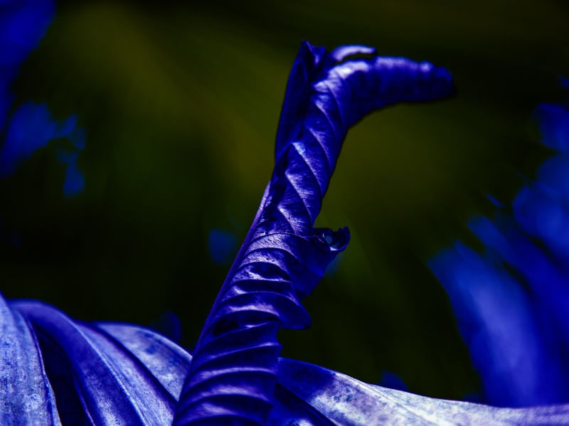 NATUREZA ABSTRATA 1963