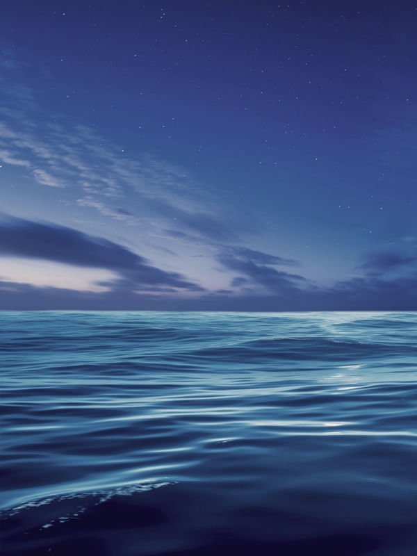 DEEP OCEAN DIPTIC B