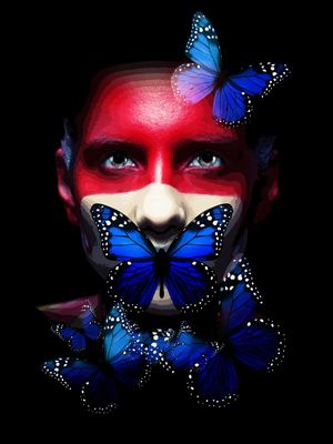BUTTERFLY DS 01