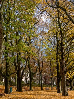 PASSEIO NO PARQUE - BRUXELAS, BÉLGICA