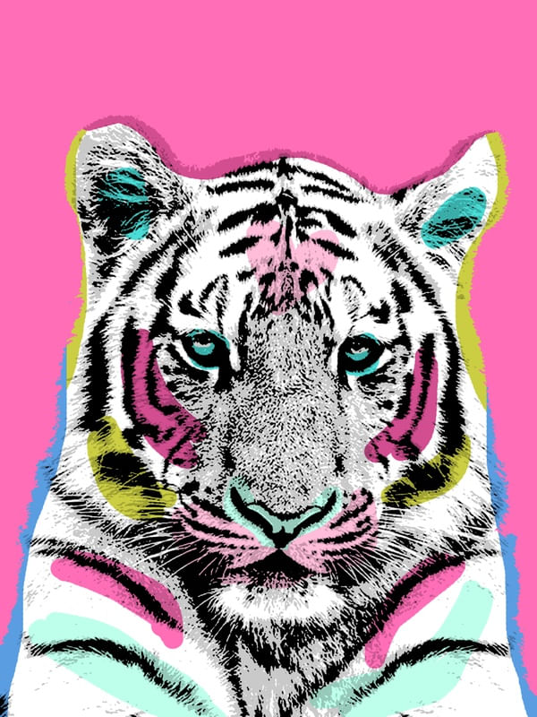 URBAN TIGRE