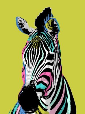 URBAN ZEBRA COLOR