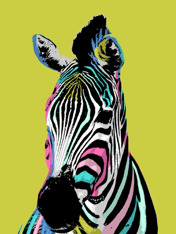 URBAN ZEBRA COLOR