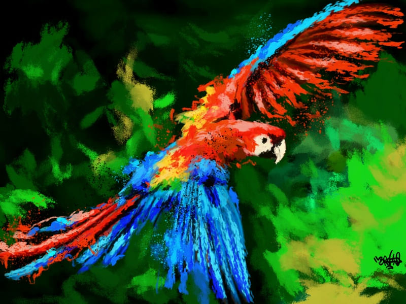 ARARA GRAFF
