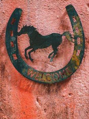 HORSING AROUND (5)