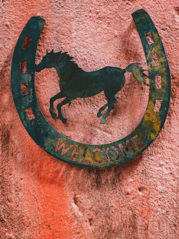 HORSING AROUND (5)