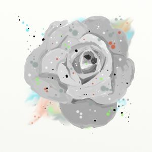 FLORAÇÃO 028