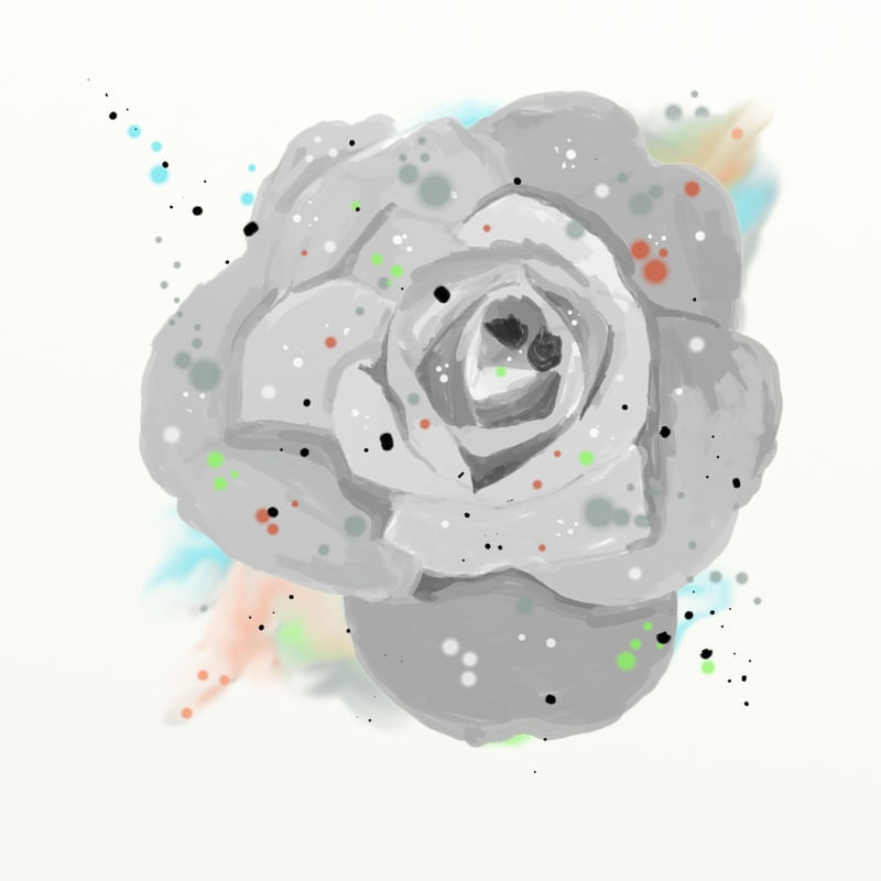 FLORAÇÃO 028