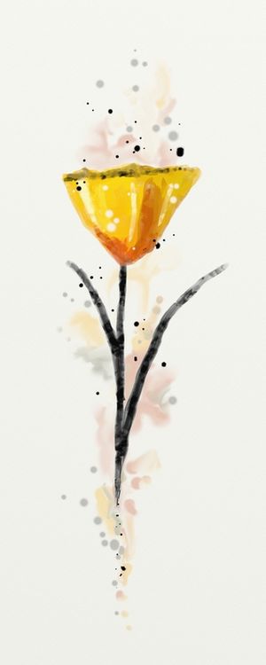FLORAÇÃO 041
