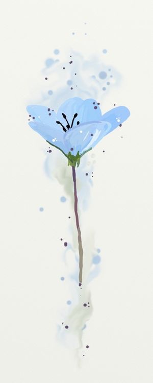 FLORAÇÃO 042