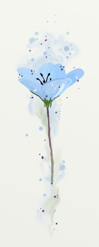 FLORAÇÃO 042