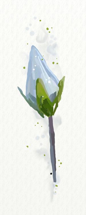 FLORAÇÃO 043