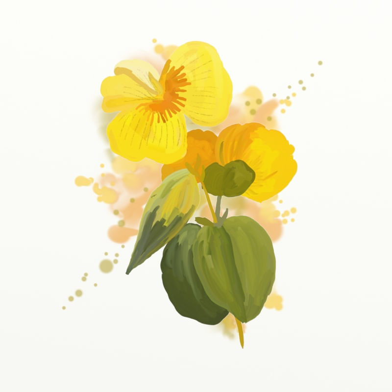 FLORAÇÃO 045