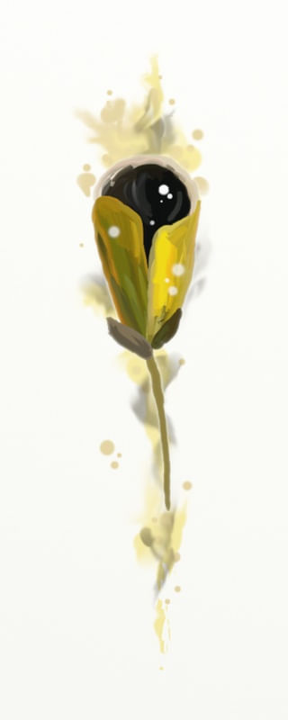 FLORAÇÃO 047