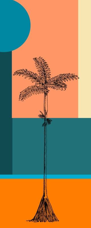 ITAPUÃ 1