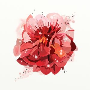 FLORAÇÃO 049
