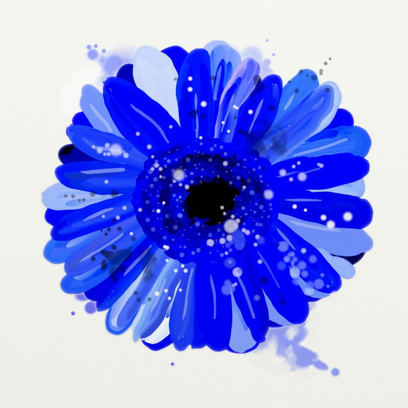 FLORAÇÃO 67