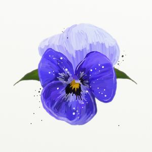 FLORAÇÃO 71