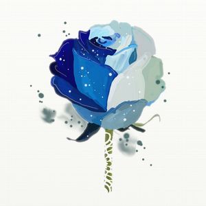 FLORAÇÃO 72