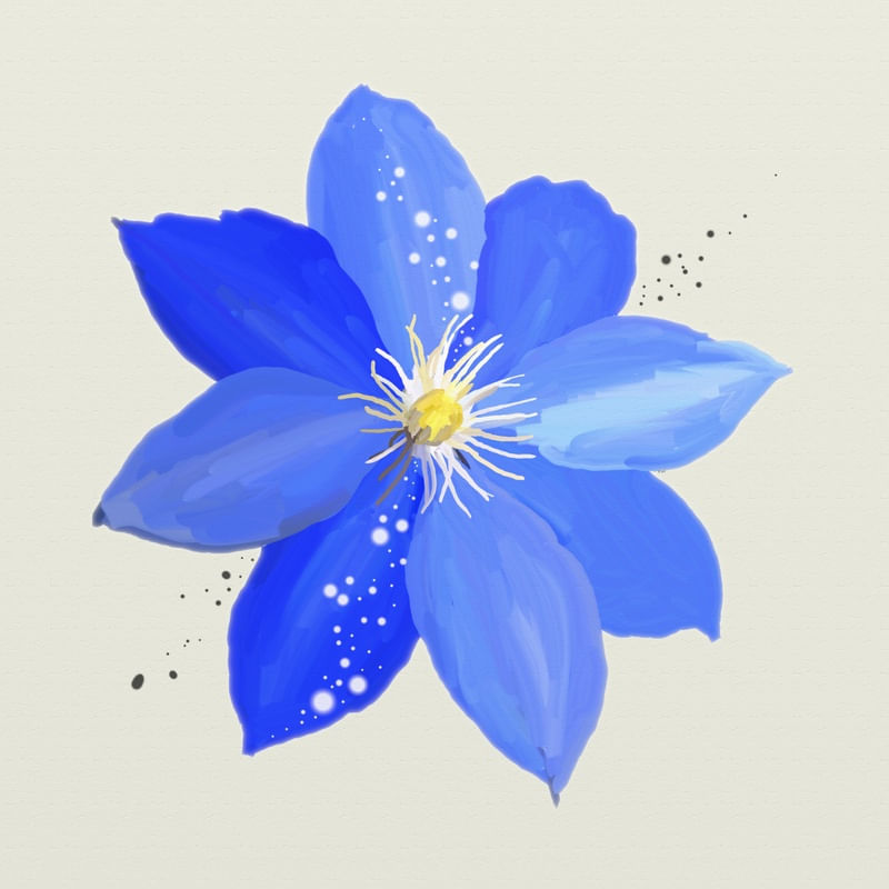 FLORAÇÃO 73