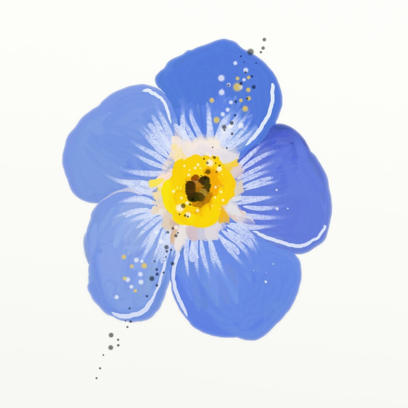 FLORAÇÃO 74