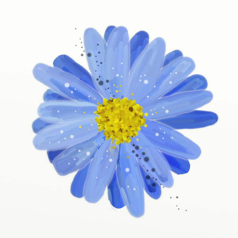 FLORAÇÃO 77