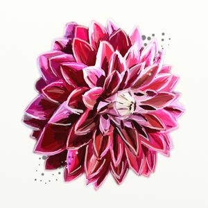 FLORAÇÃO 78