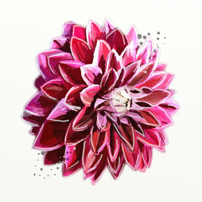 FLORAÇÃO 78
