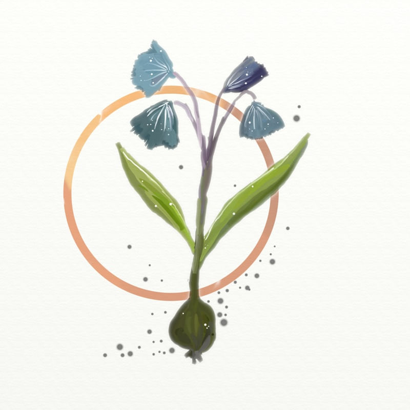 FLORAÇÃO 79