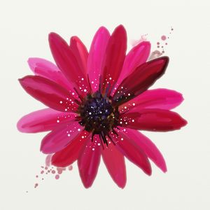 FLORAÇÃO 81