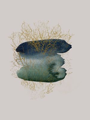 ALGAS II