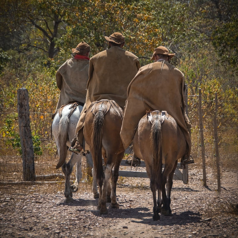 VAQUEIROS PIAUÍ