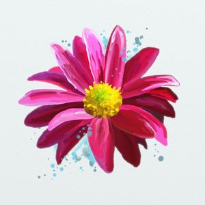 FLORAÇÃO 84