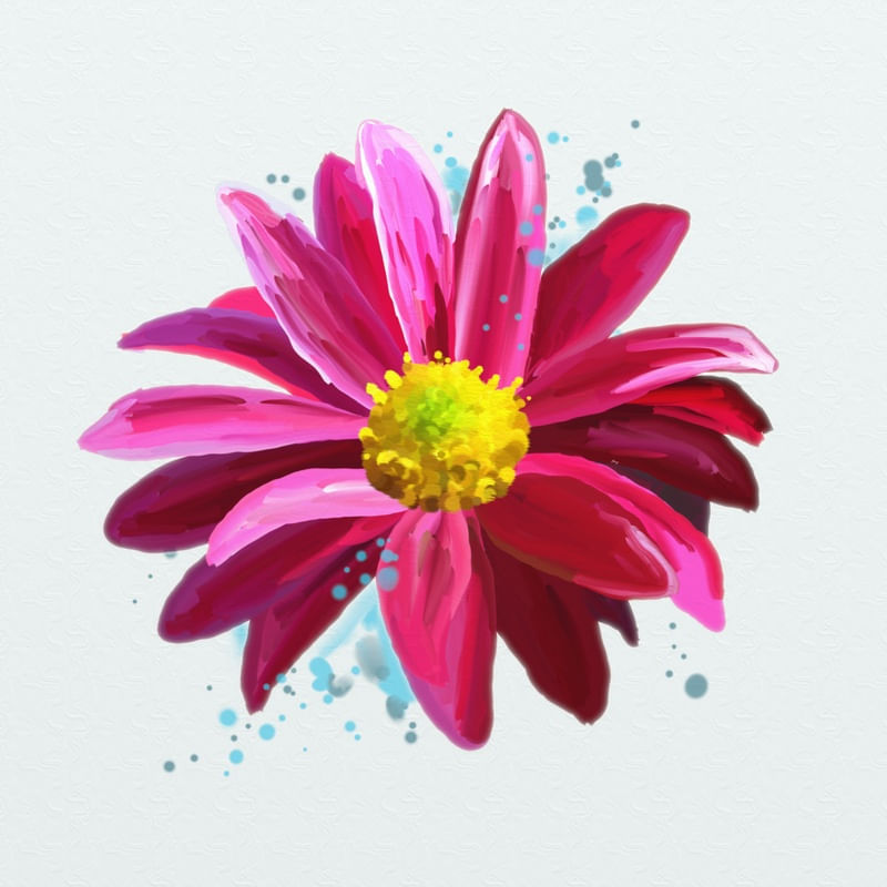 FLORAÇÃO 84