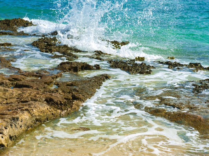 ROCHEDOS CARIBENHOS