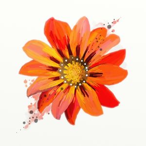 FLORAÇÃO 86