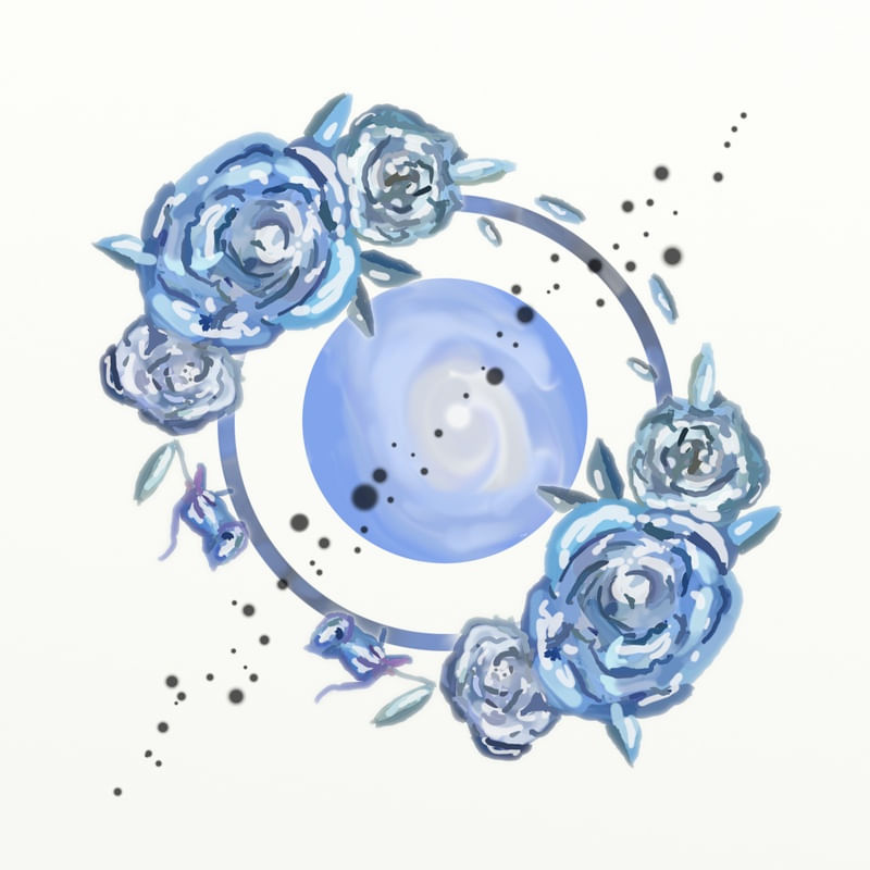 FLORAÇÃO 91