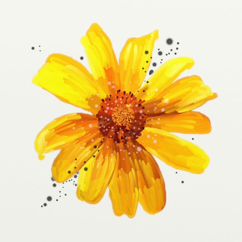 FLORAÇÃO 93