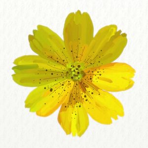 FLORAÇÃO 94
