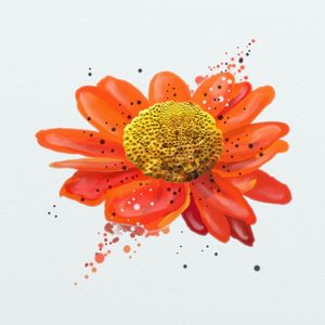 FLORAÇÃO 96