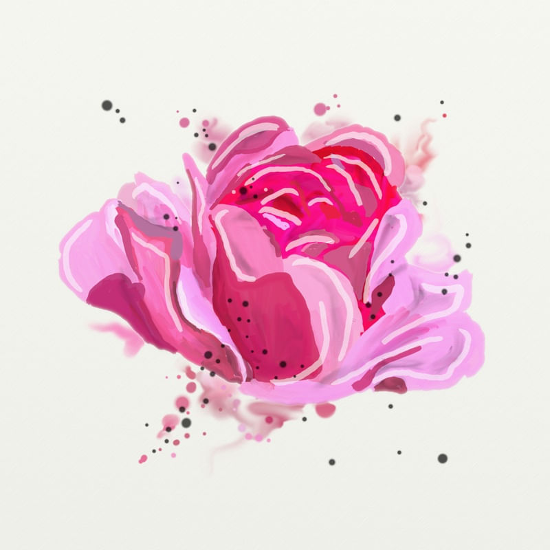 FLORAÇÃO 97