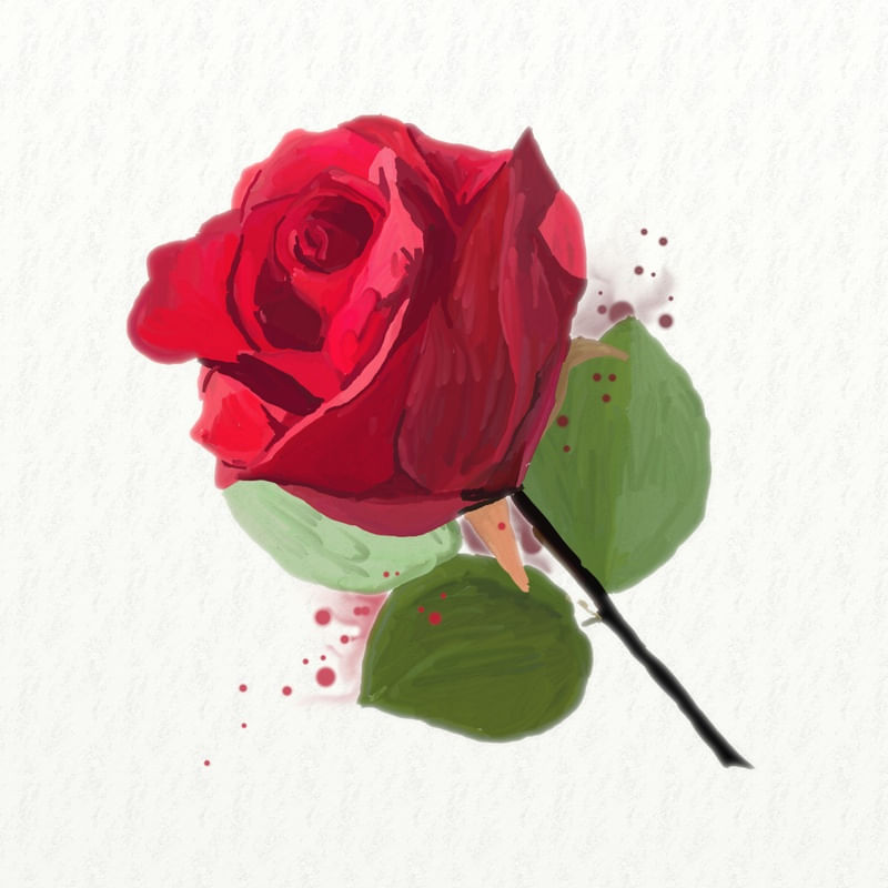 FLORAÇÃO 98