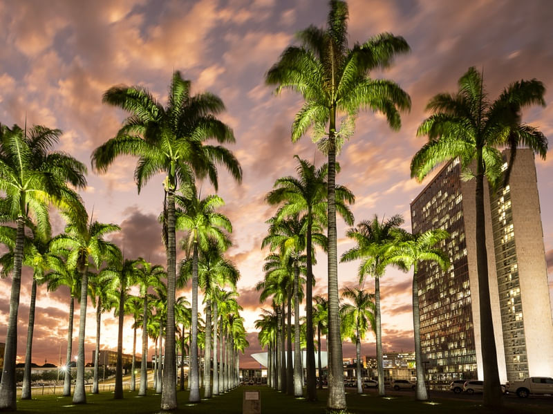 FIM DE TARDE CONGRESSO