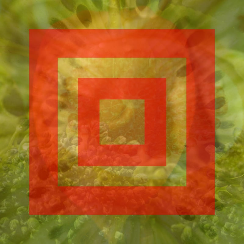 NATUREZA ANGULAR VERMELHA