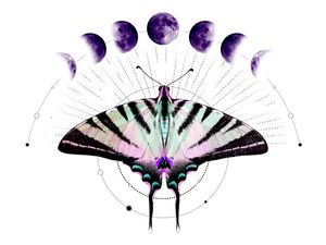 MARIPOSA LUZ