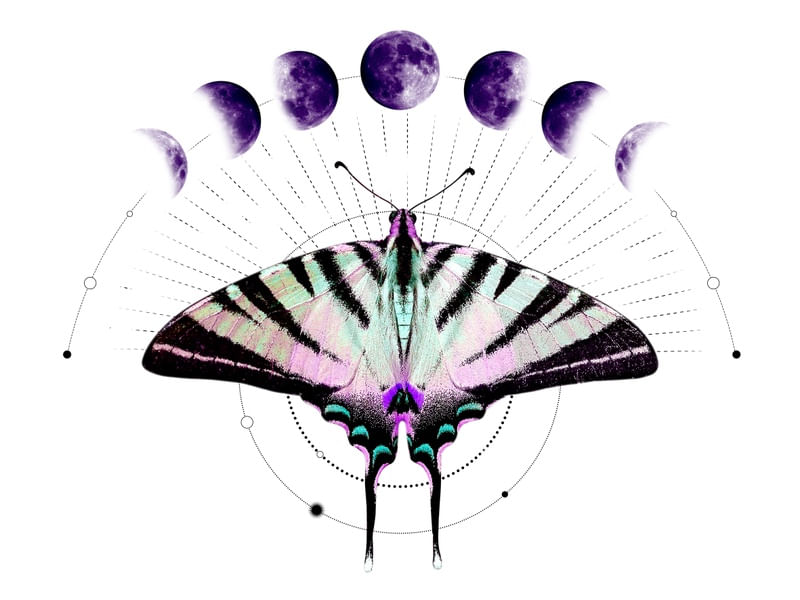 MARIPOSA LUZ