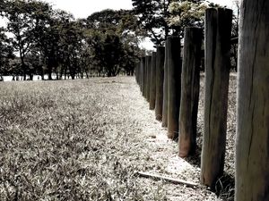 BALNEÁRIO 24