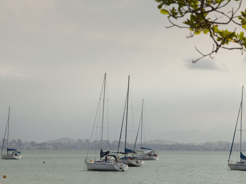 VELEIROS AO MAR