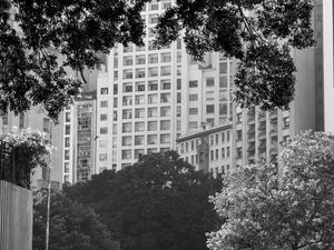 PRÉDIOS CENTRO SP