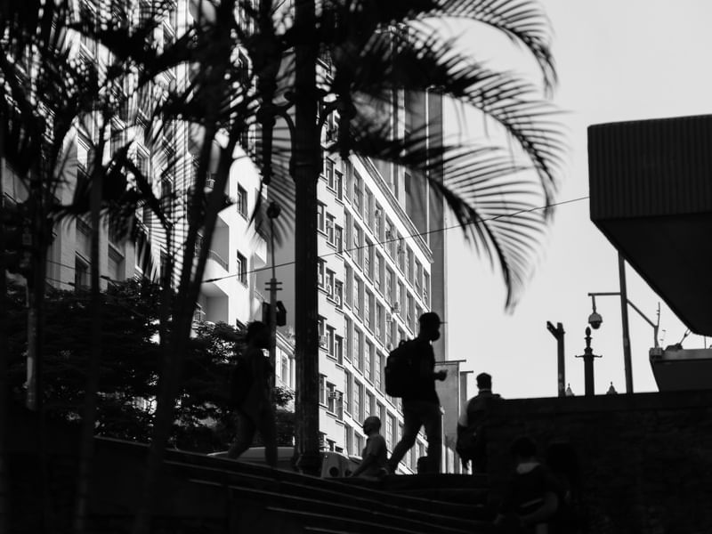 XAVIER DE TOLEDO SP